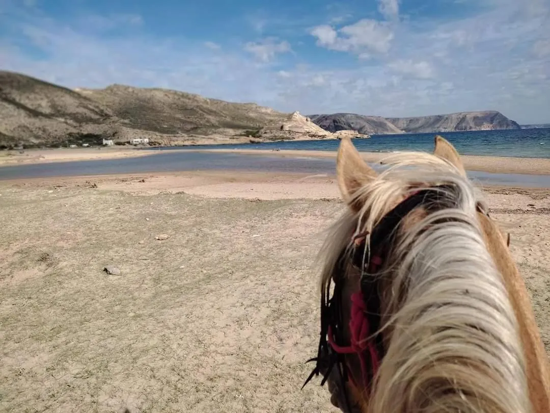 Apartamento Caballo de Mar Frison Cabo de Gata San José